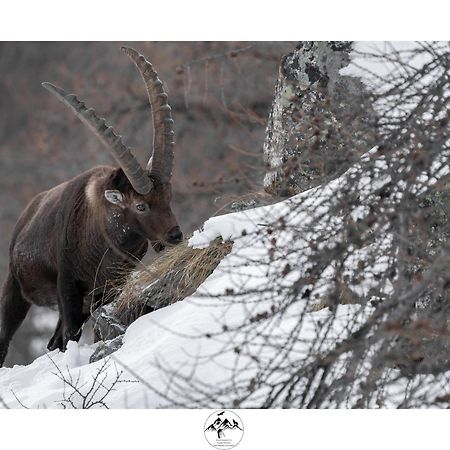 Appartamento Lo Bou Вальсаваранш Экстерьер фото